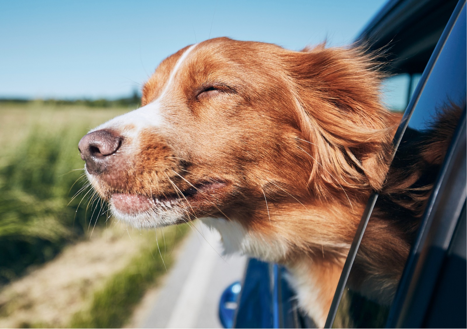 Lebenslange Absicherung